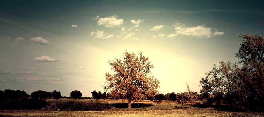 2taken zonsondergang barada